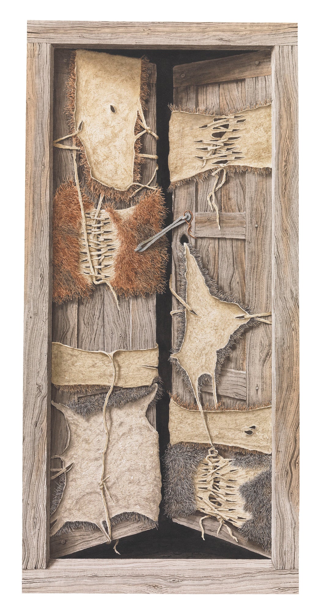 Door with Skins, Mustang by Robert Powell